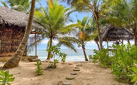 The Alpha Monkey Hotel & Tree House